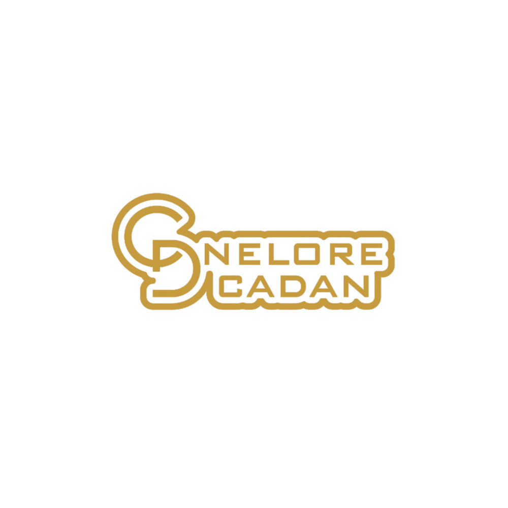 Apoiador